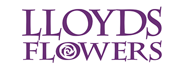 Lloyd's Flowers